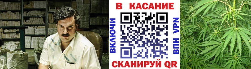 Марихуана Зеленокумск