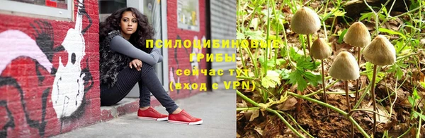 ECSTASY Алексеевка