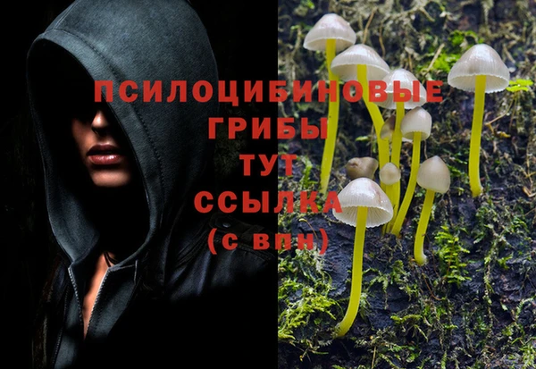 кокаин перу Алзамай